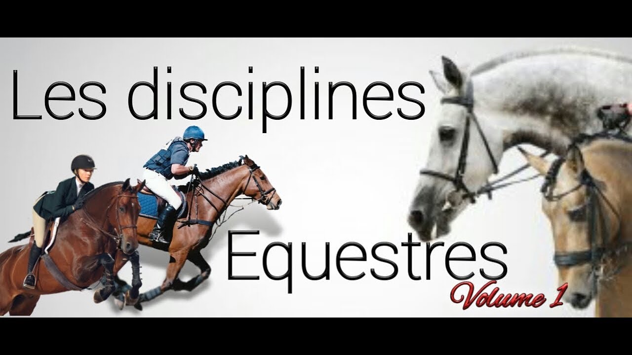 ☆[Découverte] Les disciplines équestres VOLUME 1*