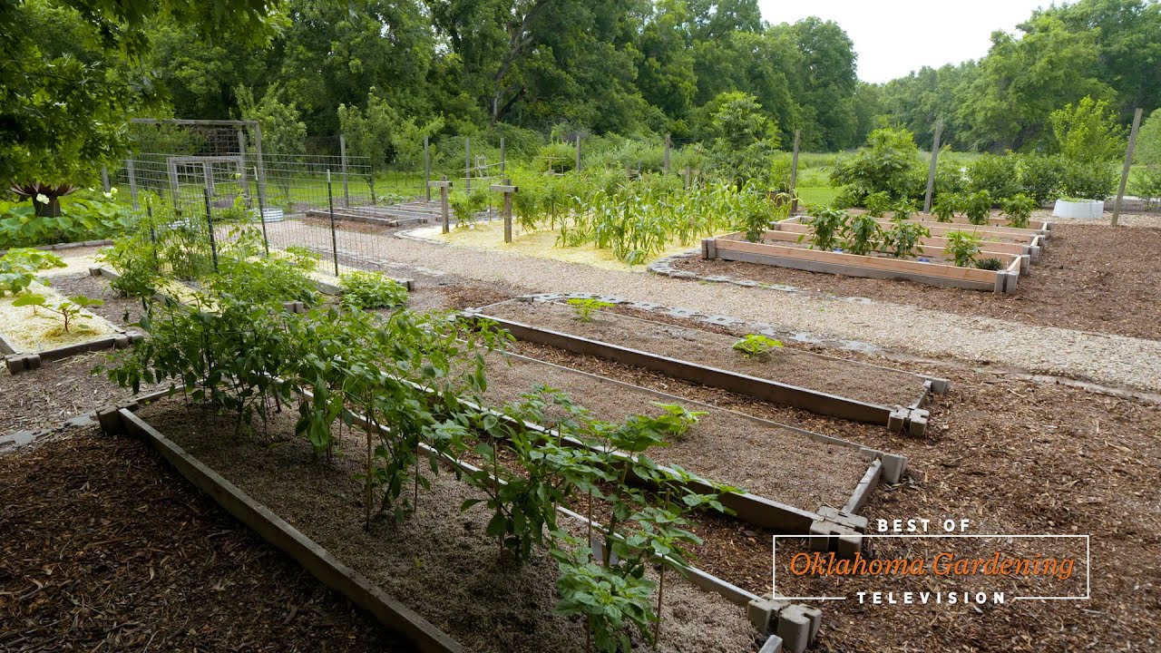 Vegetables and All-America Selections on the Best of Oklahoma Gardening #4829