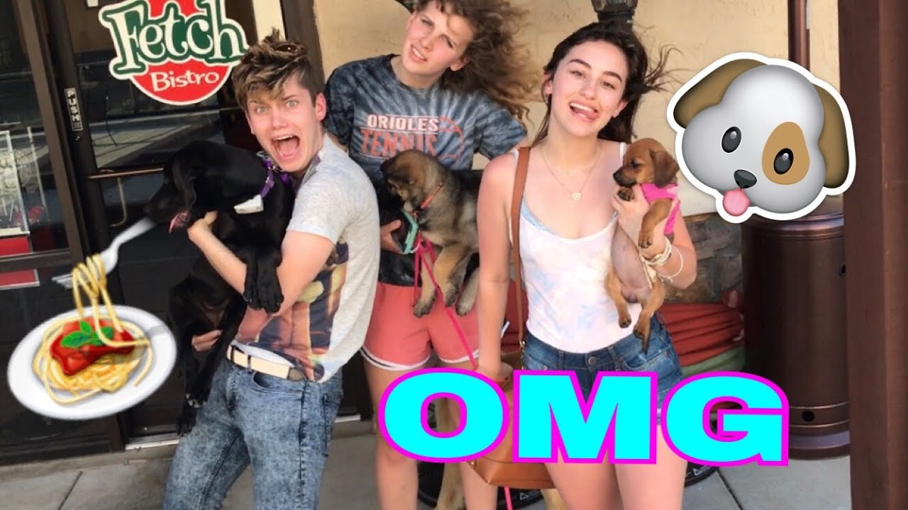TAKING OUR DOGS TO A RESTAURANT