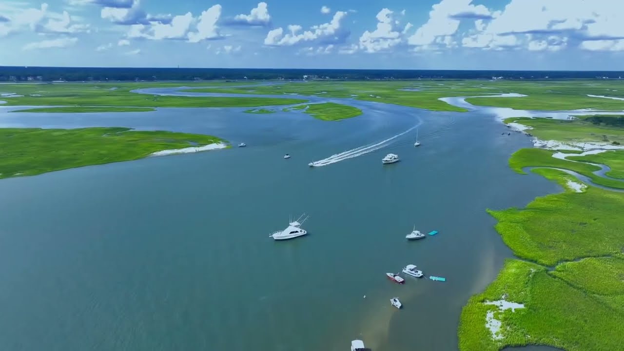Bird Island Trip