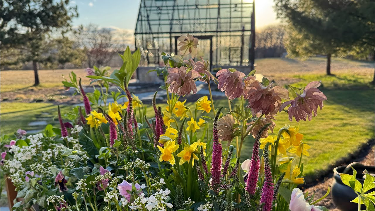 Spring Container Ideas