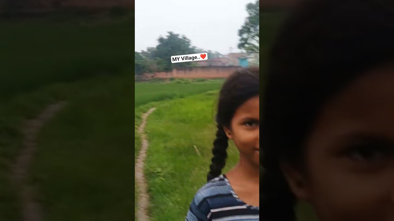 Kheti dhaan village|Buxar Bihar| #trending #vlog #village #bihar #beauty #desi #farmer #farming