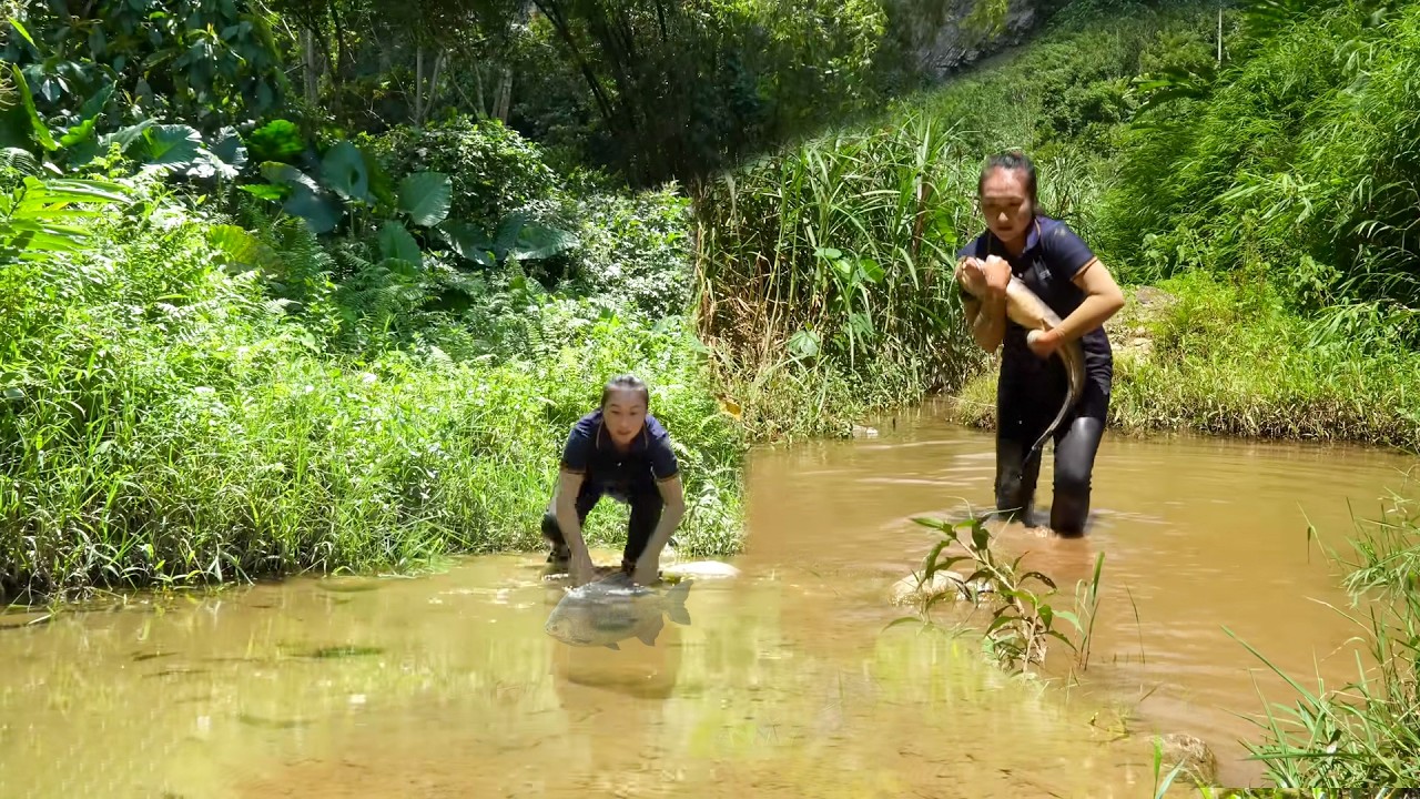 Master The Art Of Big Game Fishing | How To Catch Massive Fish And Earn Big In The Village