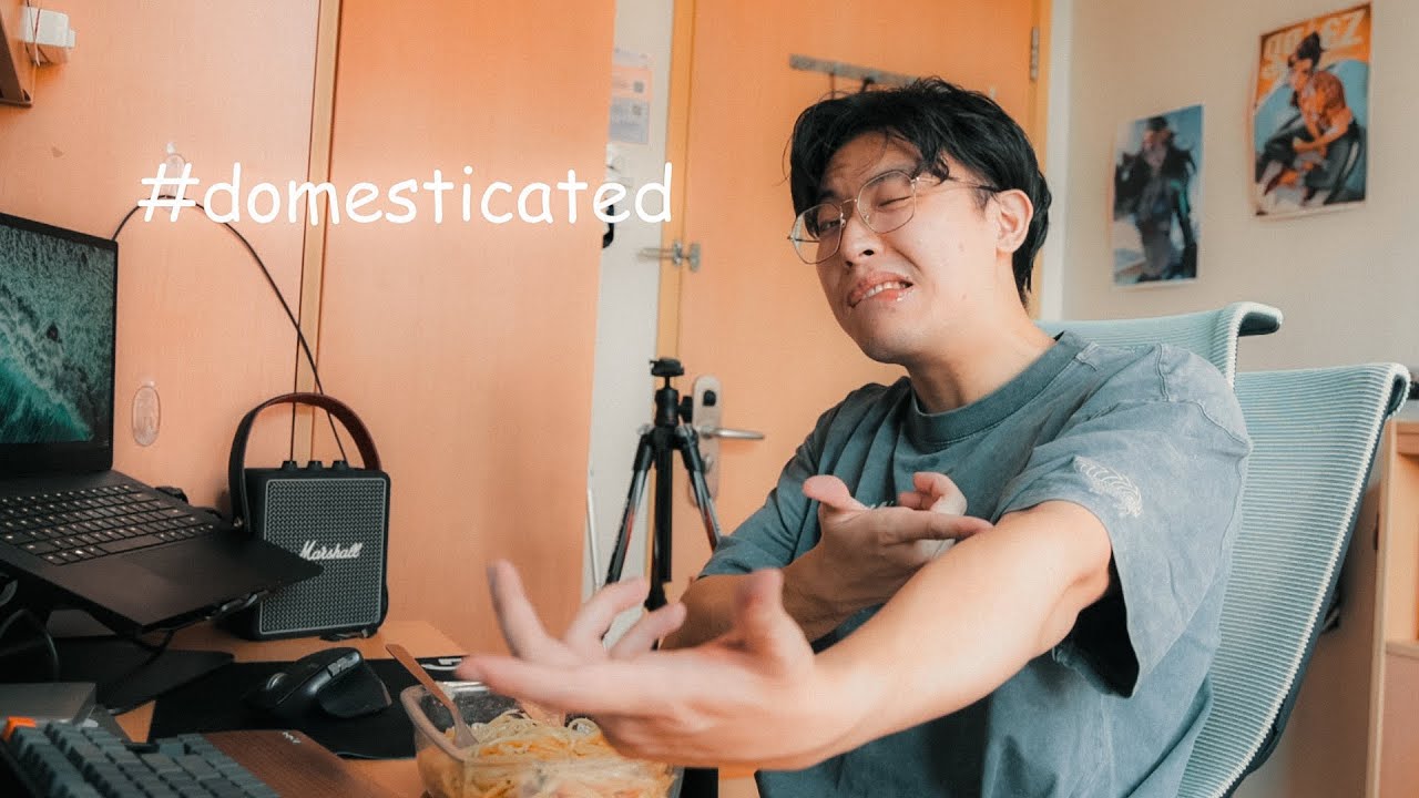 husbando application video