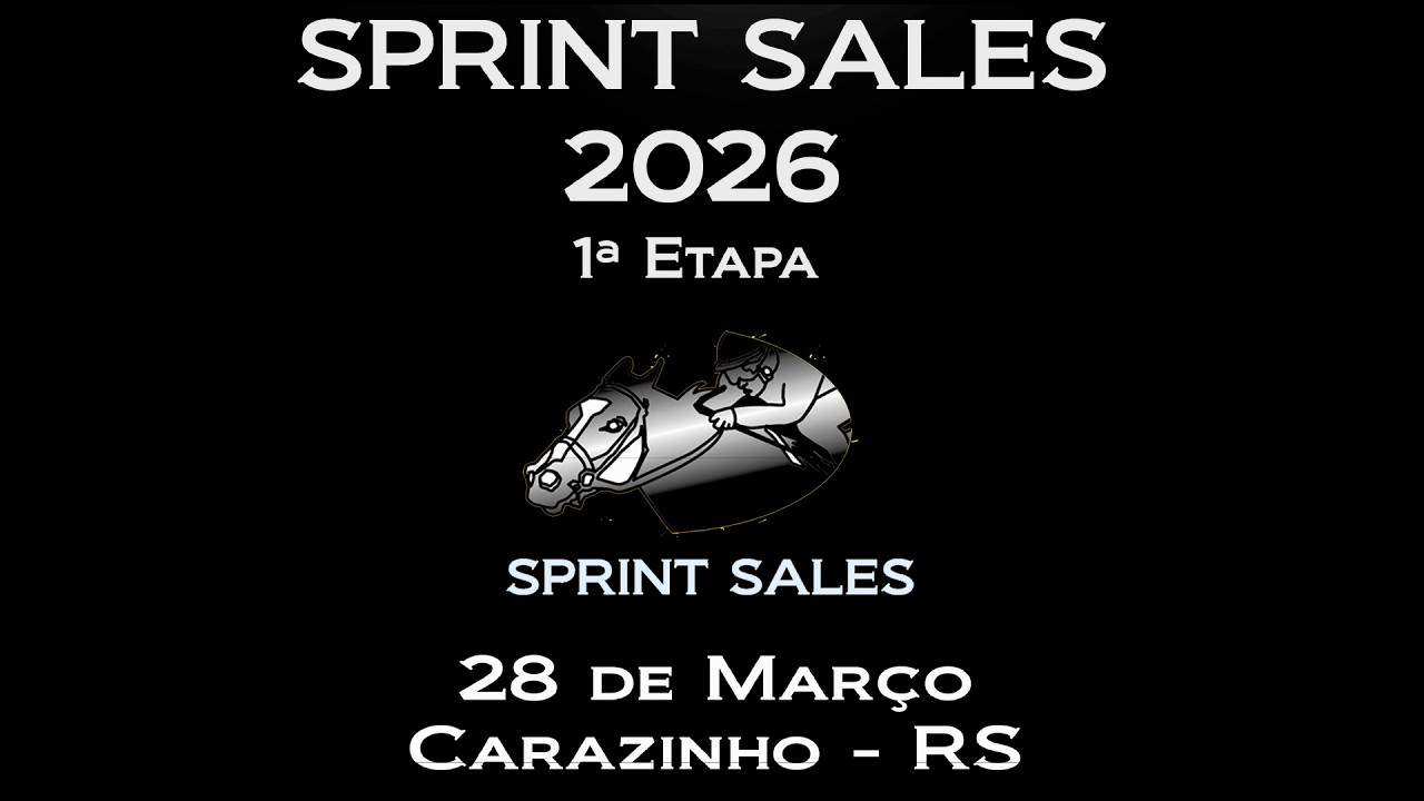 06 MAGNATA ZIP