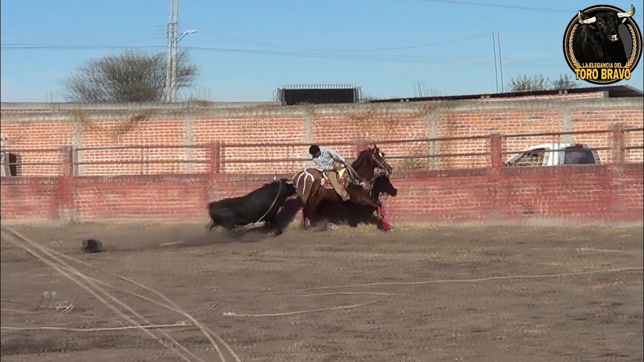 RANCHO DE GUADALUPE, SALVATIERRA 25/ENE/2026 JARIPEO VOL 17