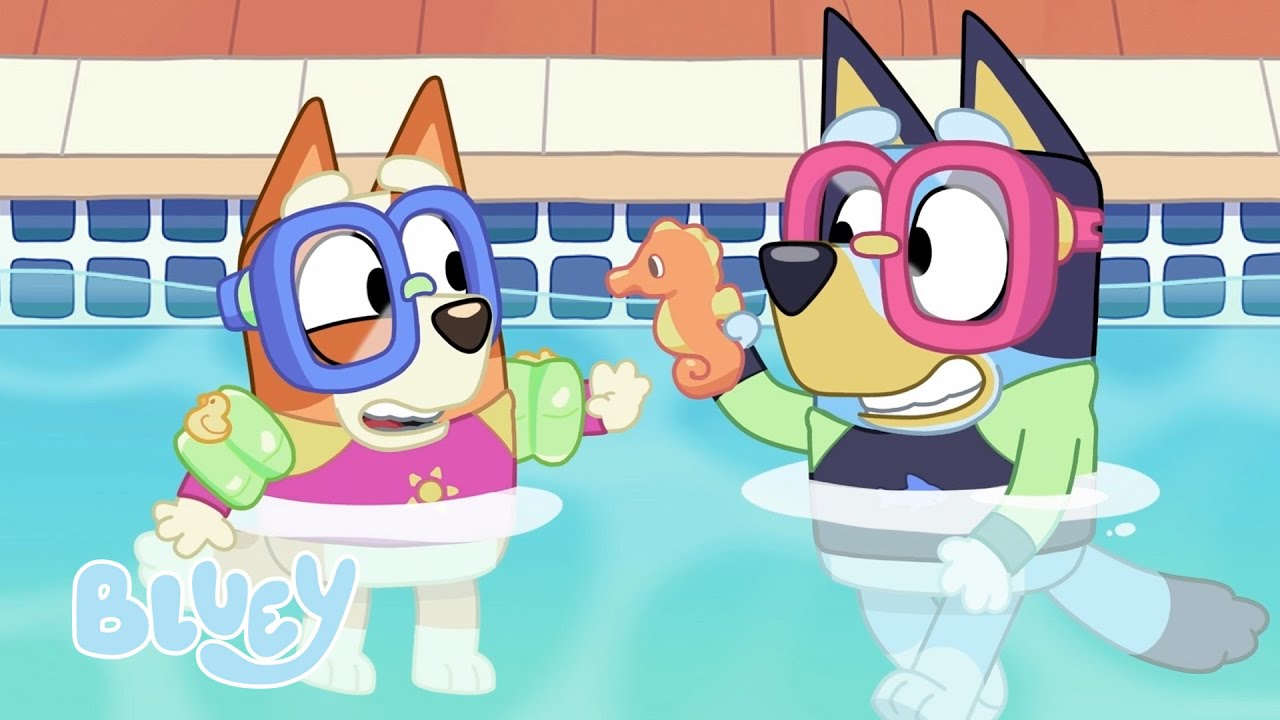 Czas dla Rodziny z Heelers 🤗 | Blue - oficjalny polski kanał  💙🇵🇱