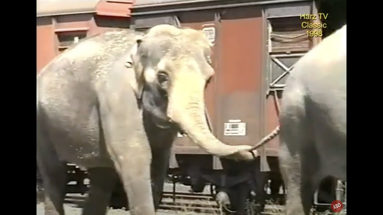 Circus Krone in Goslar (1998)