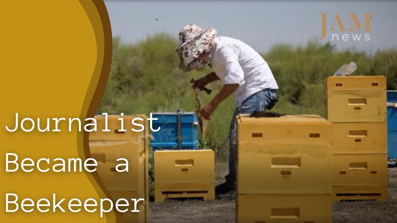 "Wonderful activity." - How an Azerbaijani journalist became a beekeeper
