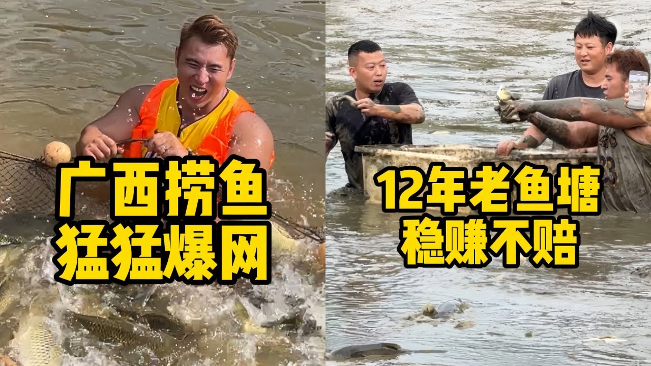 花10000元在20亩的老鱼塘拉一网，能否摘掉空军华的称号？｜华哥和小飞哥盘下老爷爷的老鱼塘，里面到底会有多少鱼？