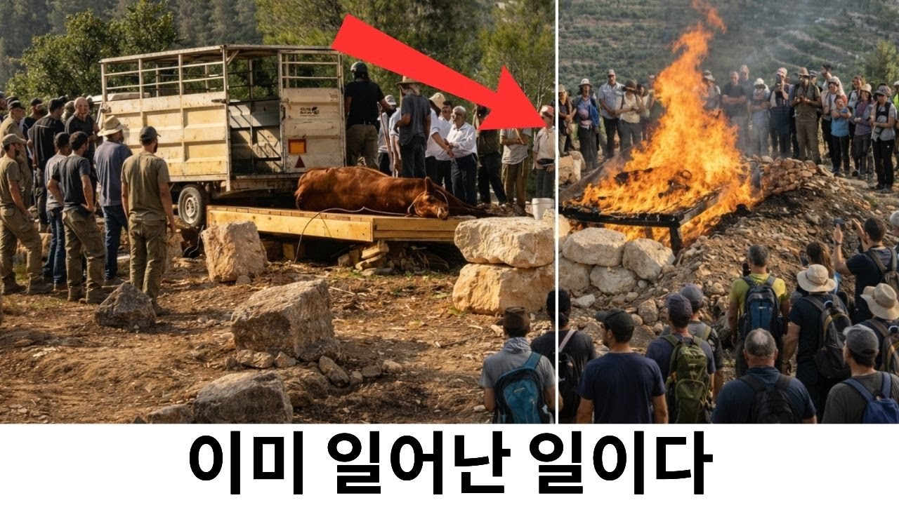 그들은 붉은 암송아지를 희생시켰다… 그 후 벌어진 일에 모두가 충격을 받았다