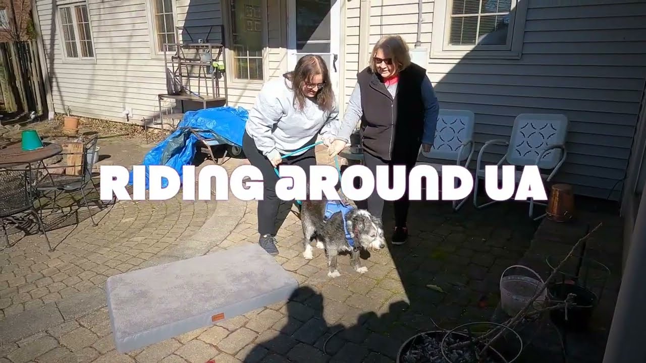 Cycling Through Upper Arlington, Ohio: Exploring Suburban Charm
