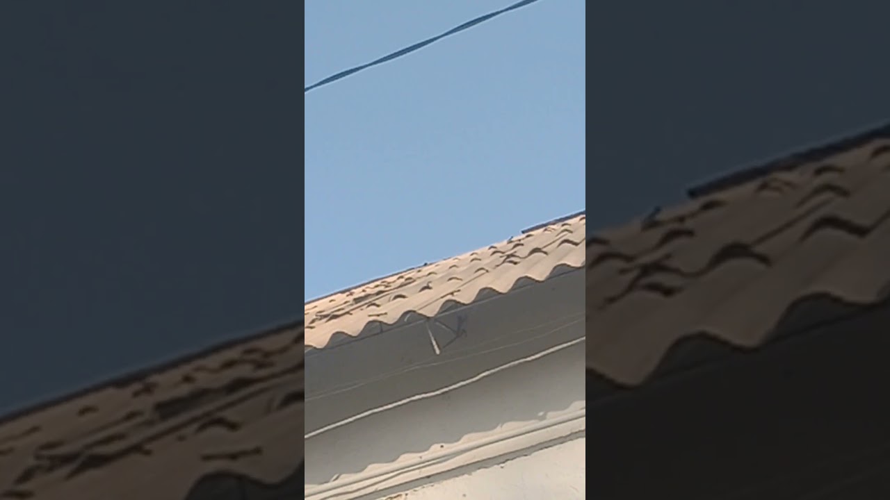 bakinlar