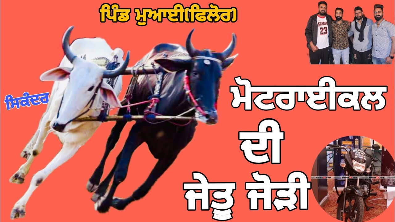 Halt Race • Village Mowai(philur) 🎉ਪਹਿਲਾ ਨੰਬਰ🥇🏆• ਸਮਾਂ-4;56:41 #sikandar #arjangroup22