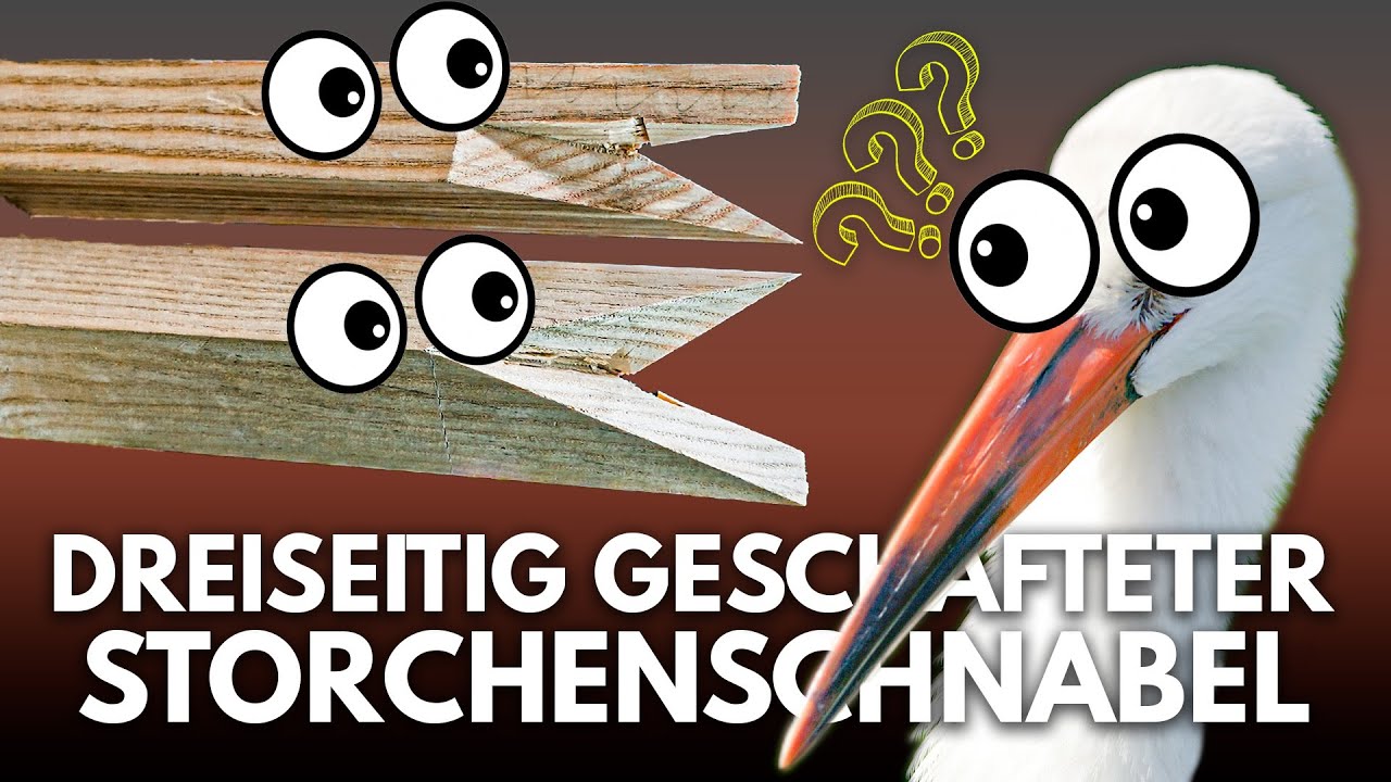 Dreiseitig gesch&auml;fteter Storchenschnabel - japanische Verbindung einfach erkl&auml;rt