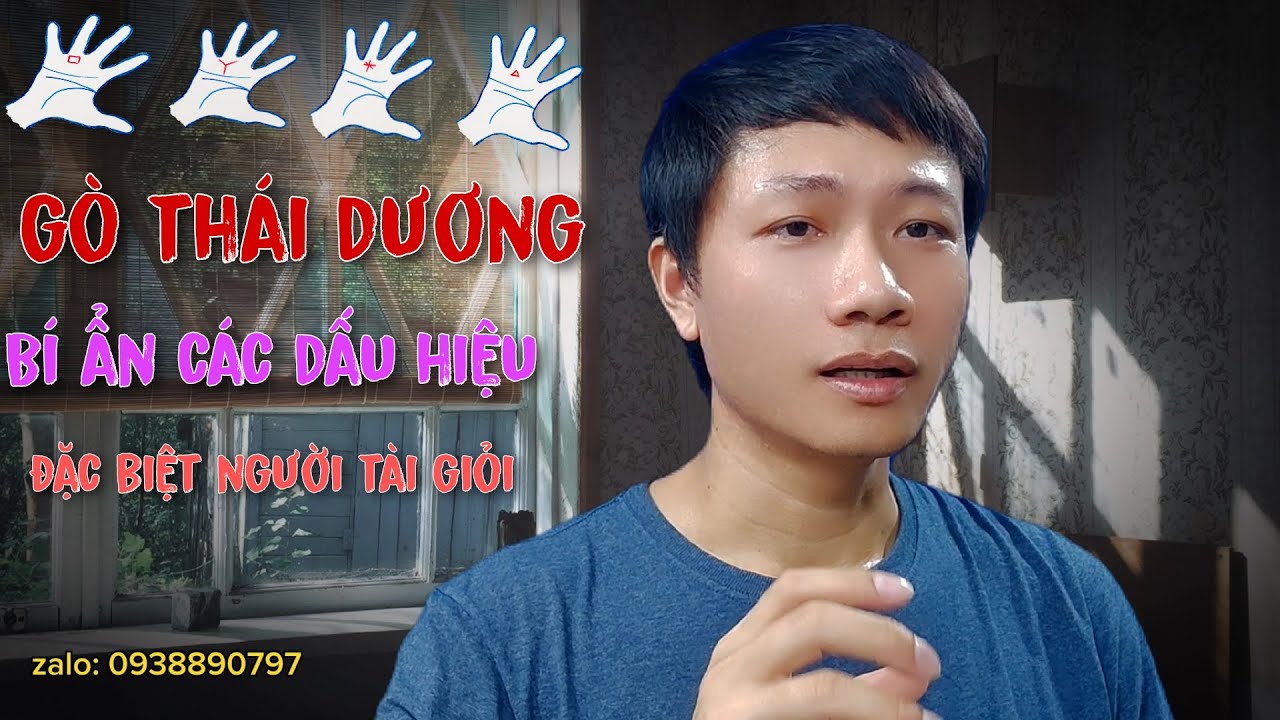 Hồng Ân Trời Ban Dấu Hiệu Ở Gò Thái Dương Quá Đặc Biệt Của Sự Thành Công Và Giàu Có | xem chỉ tay PL