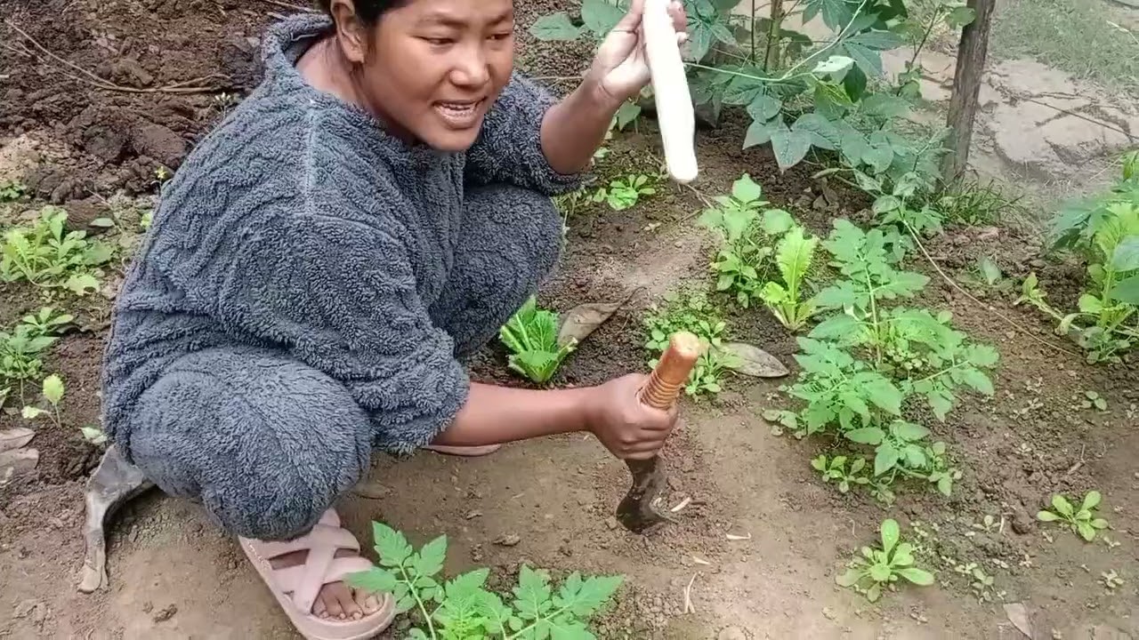 Aaj hum bnayenge tamatar ke podhe ke liye support 