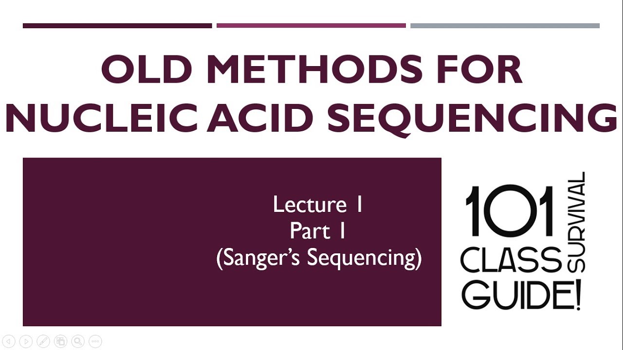 Sangers Sequencing (Chain Termination Method)