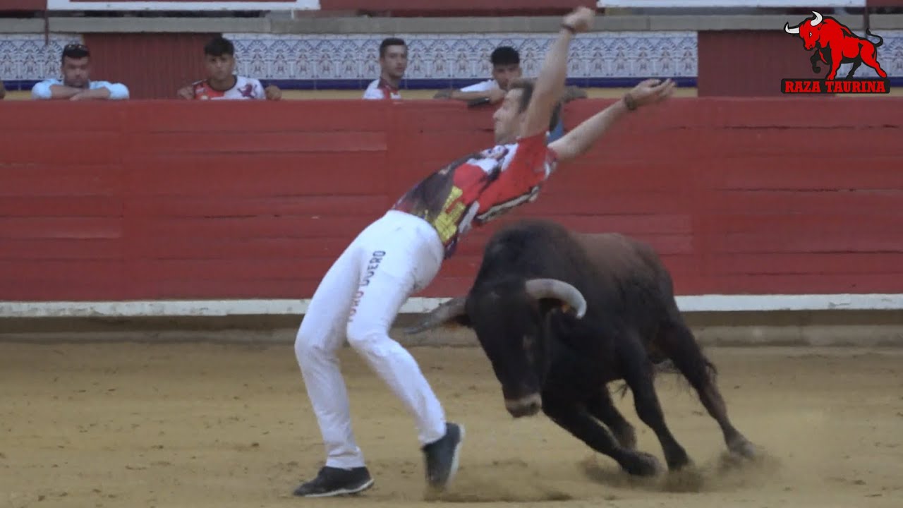 Concurso de cortes. Pedrajas de San Esteban. 24 Agosto 2025