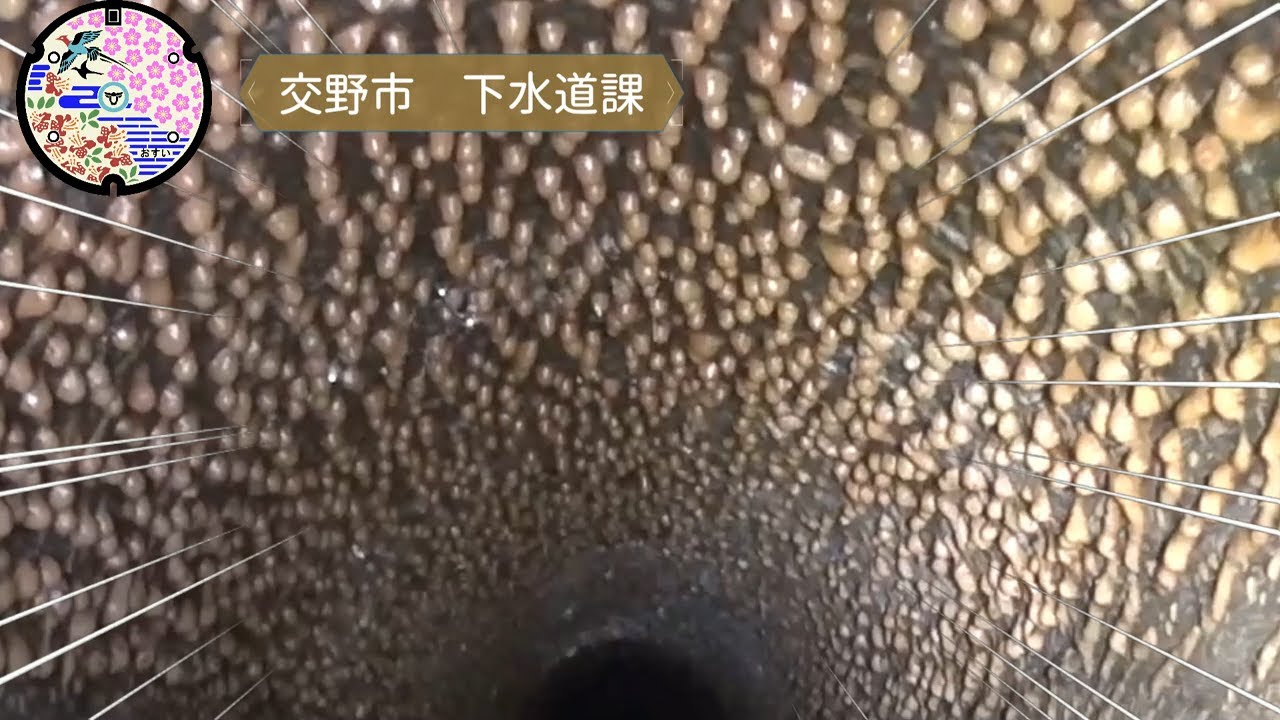 ※閲覧ご注意※　地上世界では見られない！？　ツブツ・ブ・カーン洞窟（交野市下水道遺産）　　交野市　下水道課