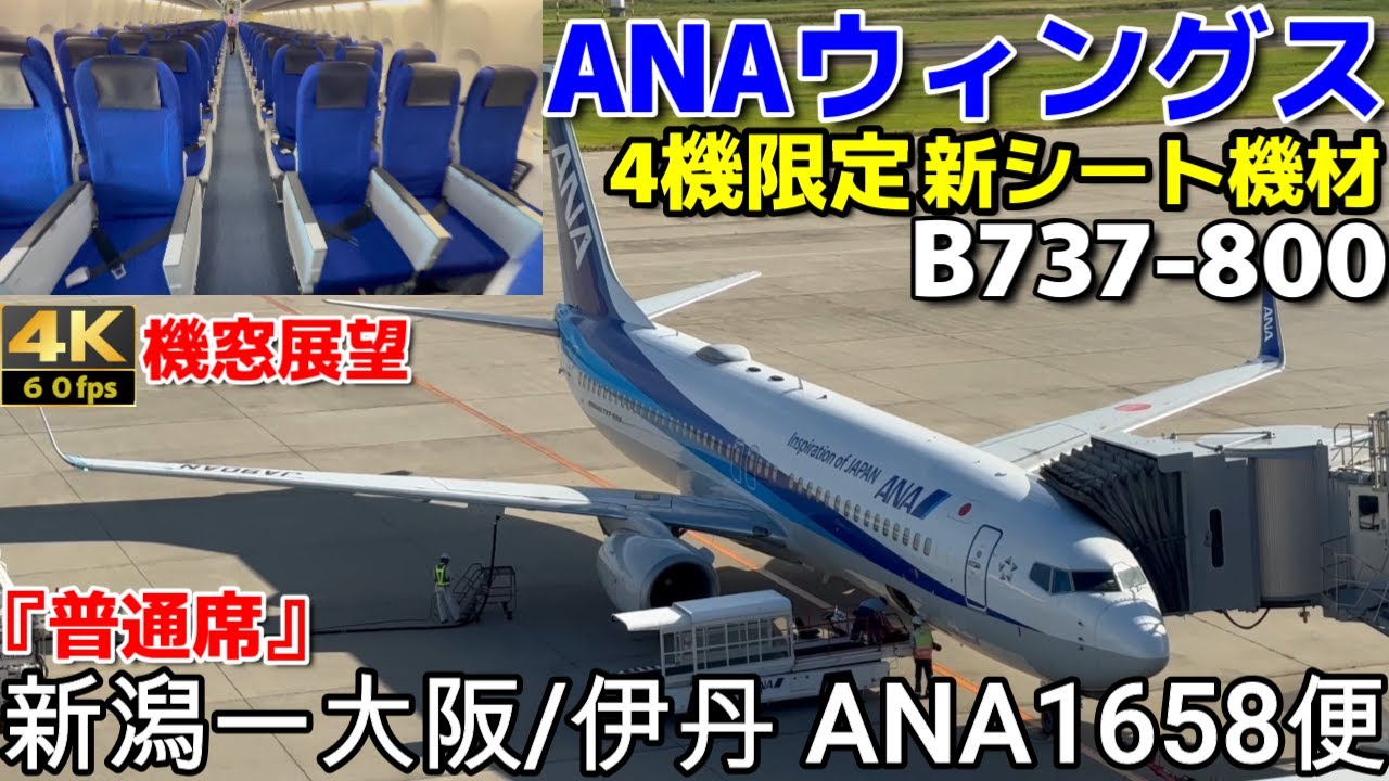 4機限定の新シート機材【ANAウィングス】B737-800（2018年導入機材）【KIJ】新潟空港ー【ITM】大阪/伊丹空港【搭乗記】ANA1658便