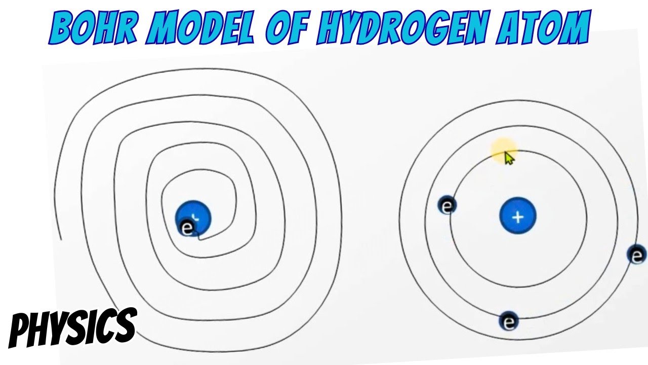 Bohr Model Of Hydrogen Atom  | Physics 