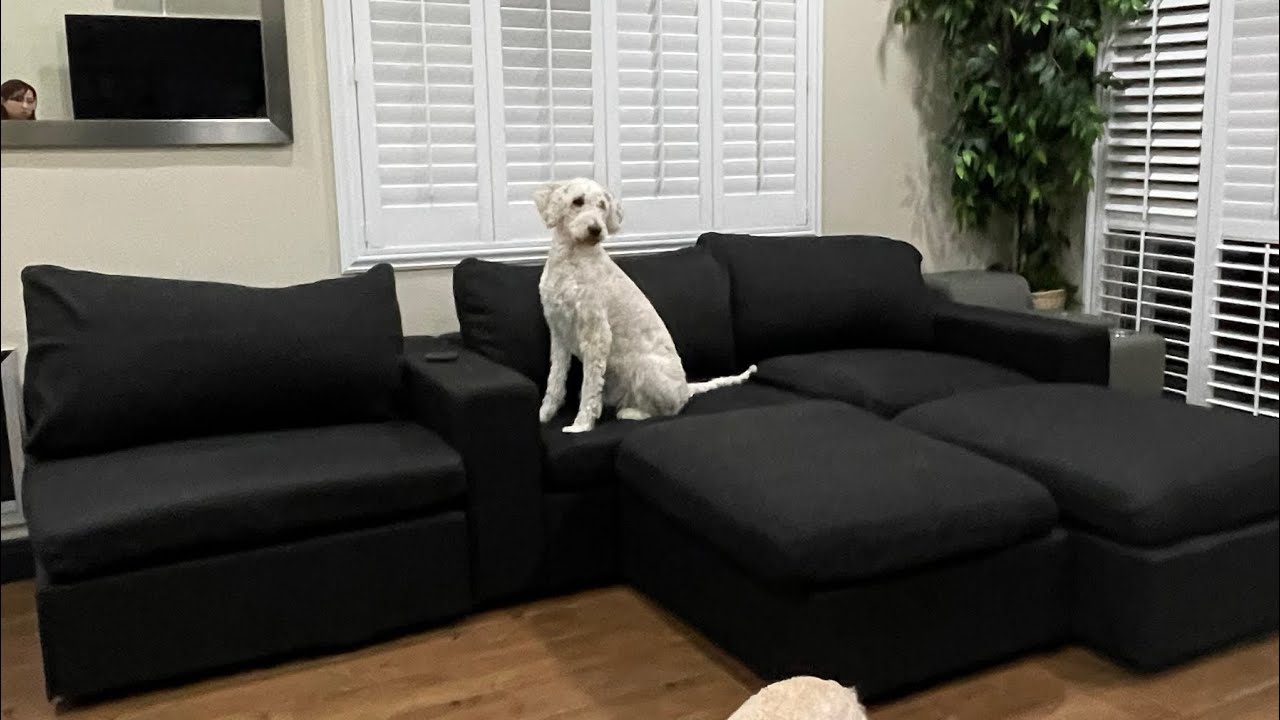 7th Avenue Couch Review (unsponsored) Watch us put this couch together!