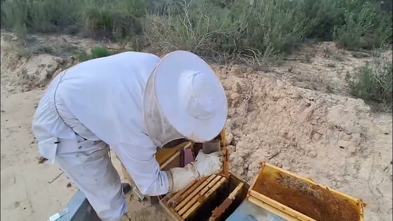 Varroa Monitoring with CO2: Measuring Varroa Infestation without Harming Bees | Kit for Beekeepers