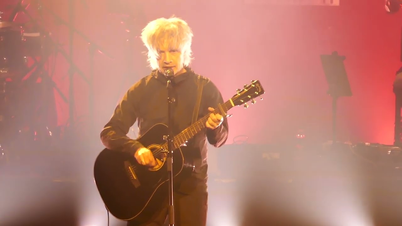 Nicolas Sirkis 