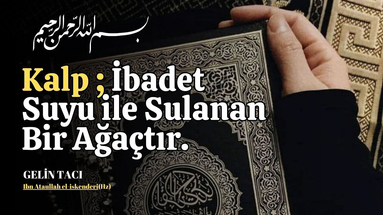 Kalp Sulanan Bir Ağaçtır / İbn Ataullah İskenderi(Hz) | Anahtar Sesli Kitap