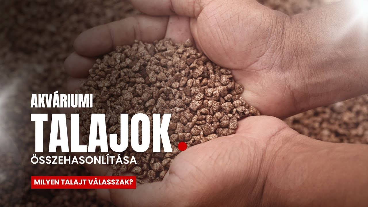 Az akváriumban használható talajok - összehasonlítás, előnyök, hátrányok