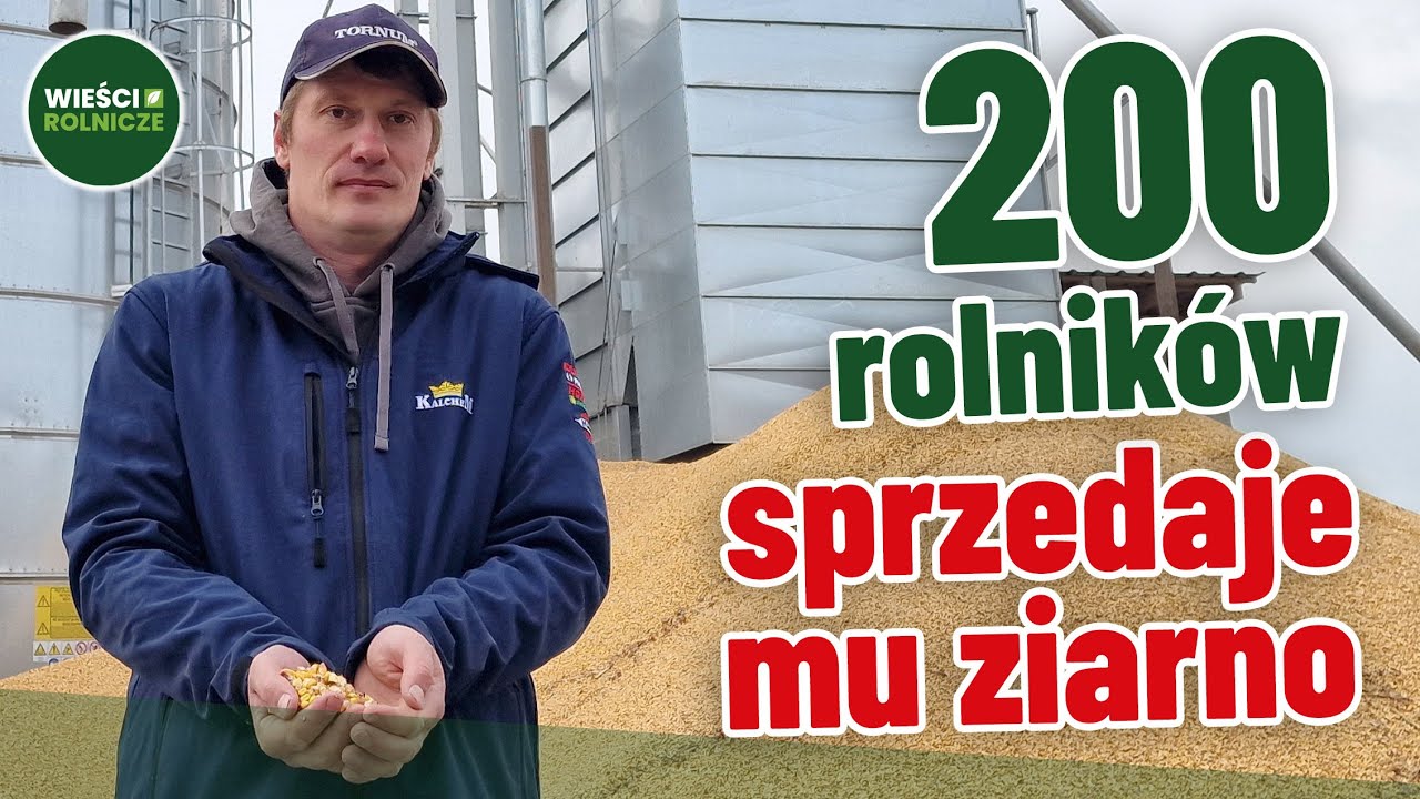 Ceny zbóż niskie. On zainwestował fortunę!