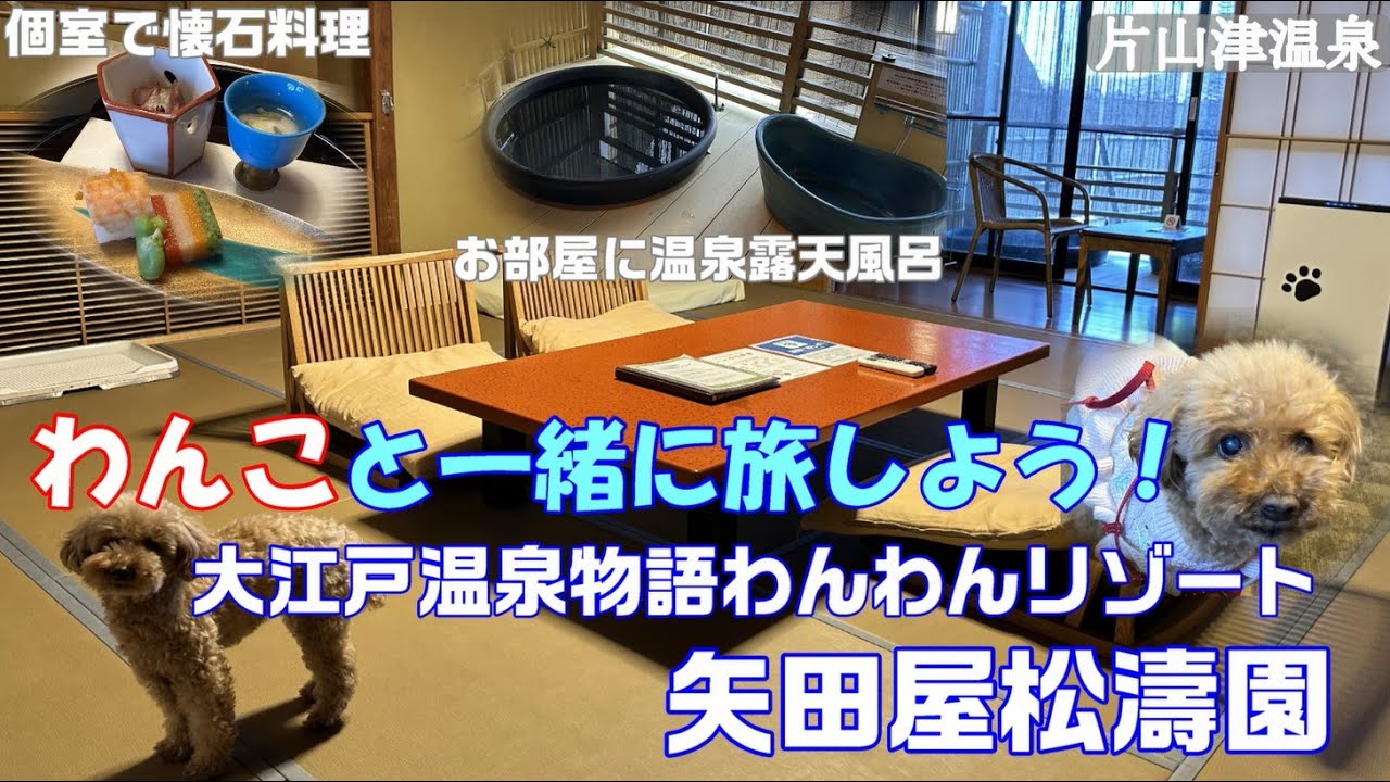 【大江戸温泉物語わんわんリゾート 矢田屋松濤園】老舗温泉旅館で愛犬と宿泊　個室でわんこと一緒に懐石料理　部屋には温泉露天風呂　大満足のお宿