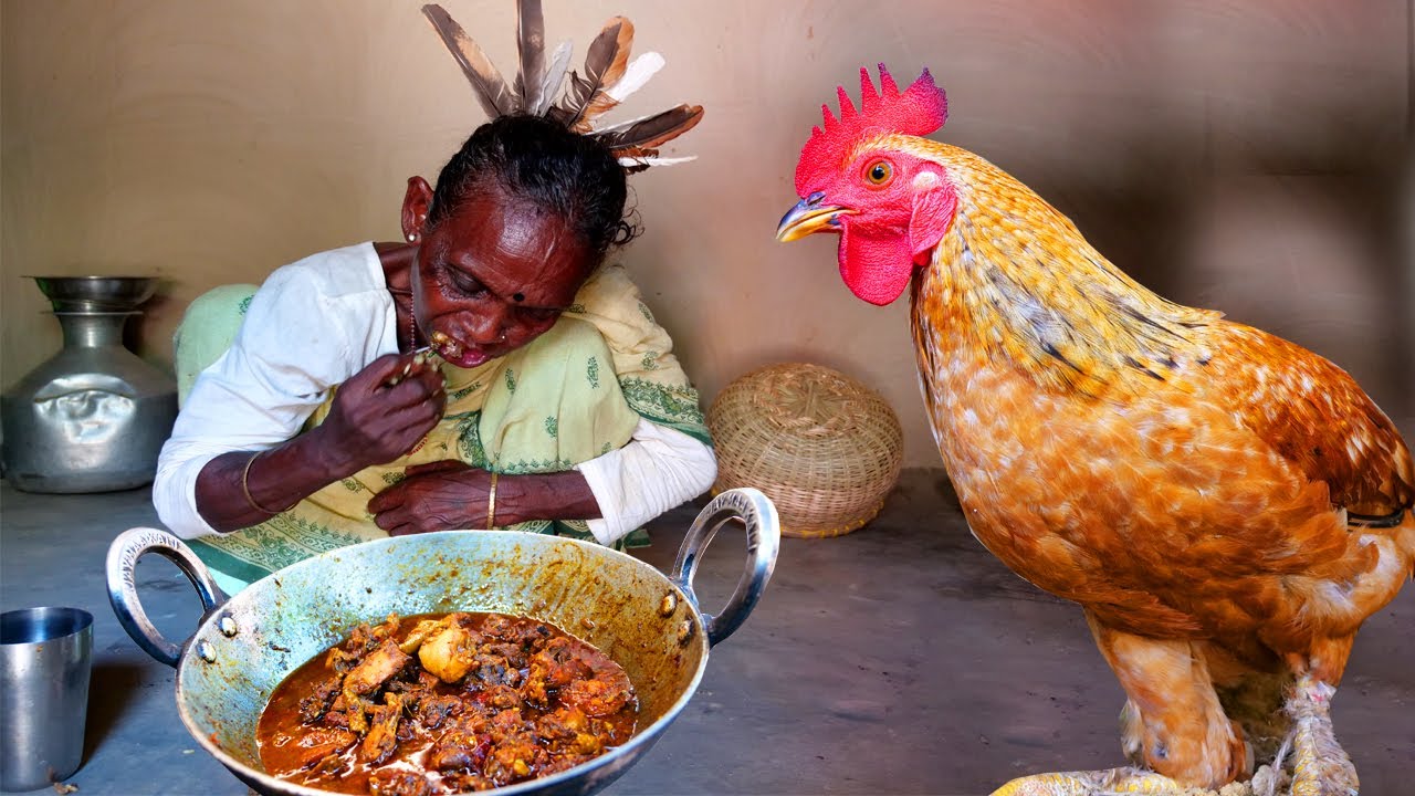 Country Chicken Cooking by tribe Grandmother | Chicken Curry Santali Traditional Village Cooking