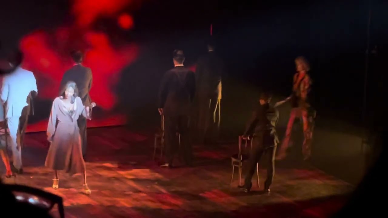 PRIVATE DANCER Tina Turner Musical