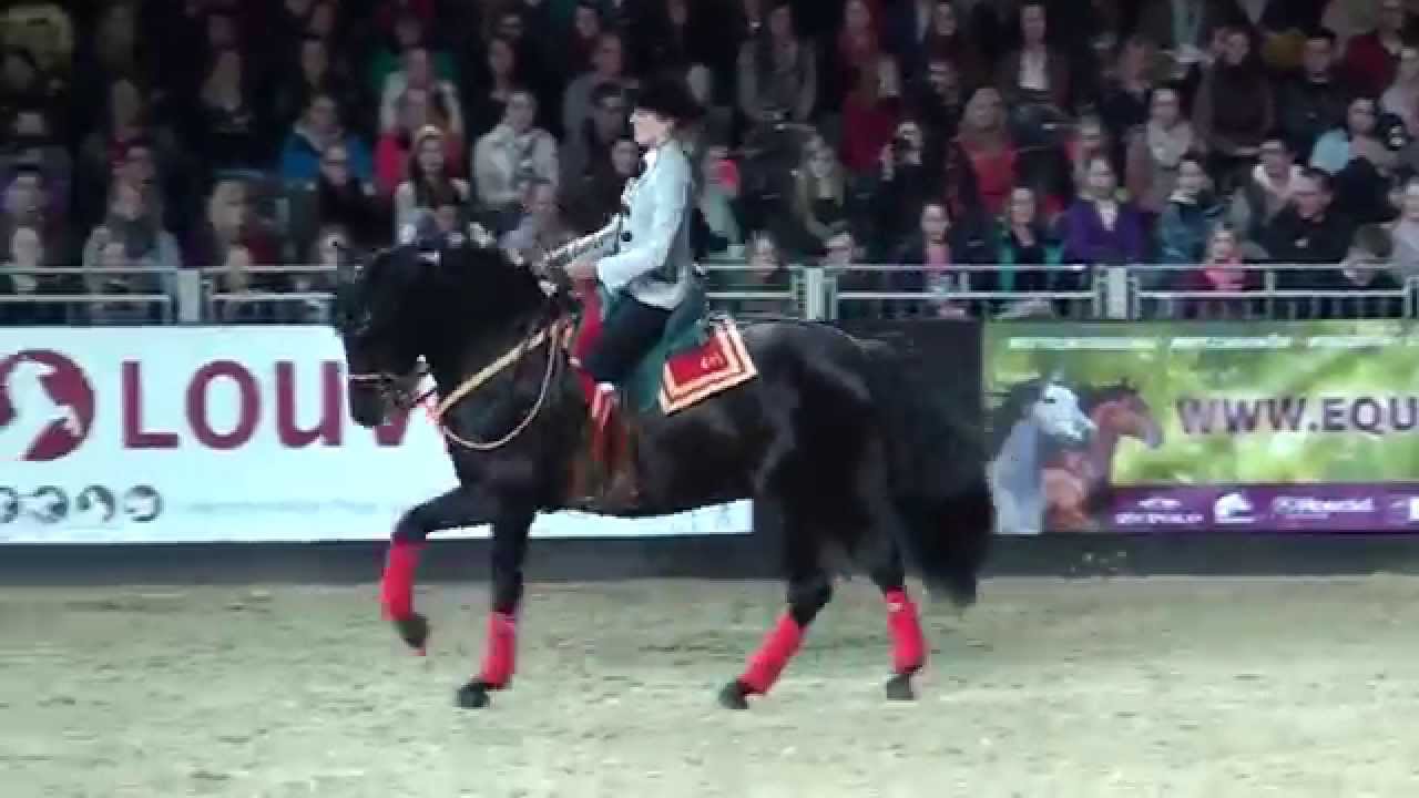 Müller's Pferdeparadies - EQUITANA 2015