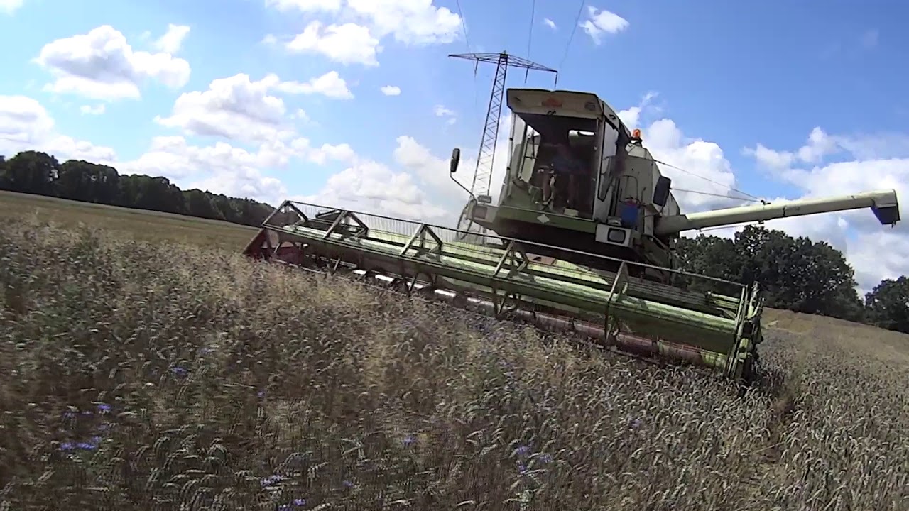 Żniwa 2018 FORTSCHRITT E516 || Claas Axion 810 //MF 255\\