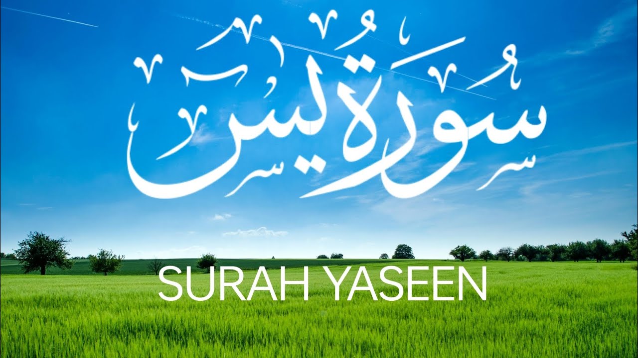 SURAH YASEEN (SURAH YASIN) سورة يس | beautiful recitation | heart touching tilawat | 2025