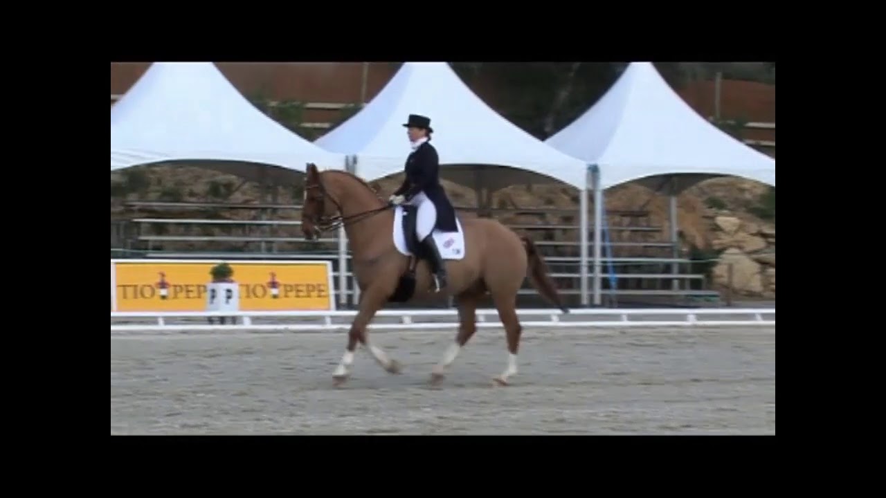 Scales of training #1 rhythm - canter sequence slow