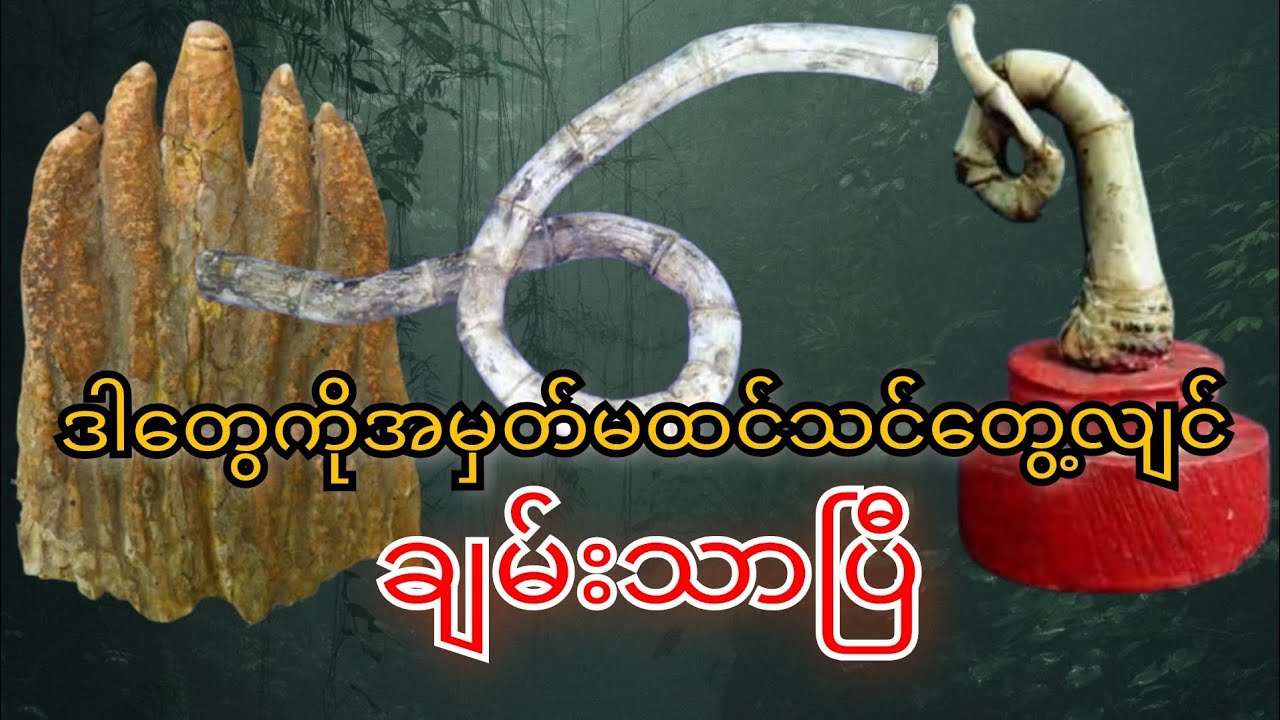 ဒါတွေကိုအမှတ်မထင်သင်တွေ့လျင်ချမ်းသာပြီ