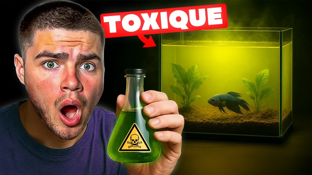 MON NOUVEL AQUARIUM EST TOXIQUE ?!! (Nettoyage EXTR&Ecirc;ME)
