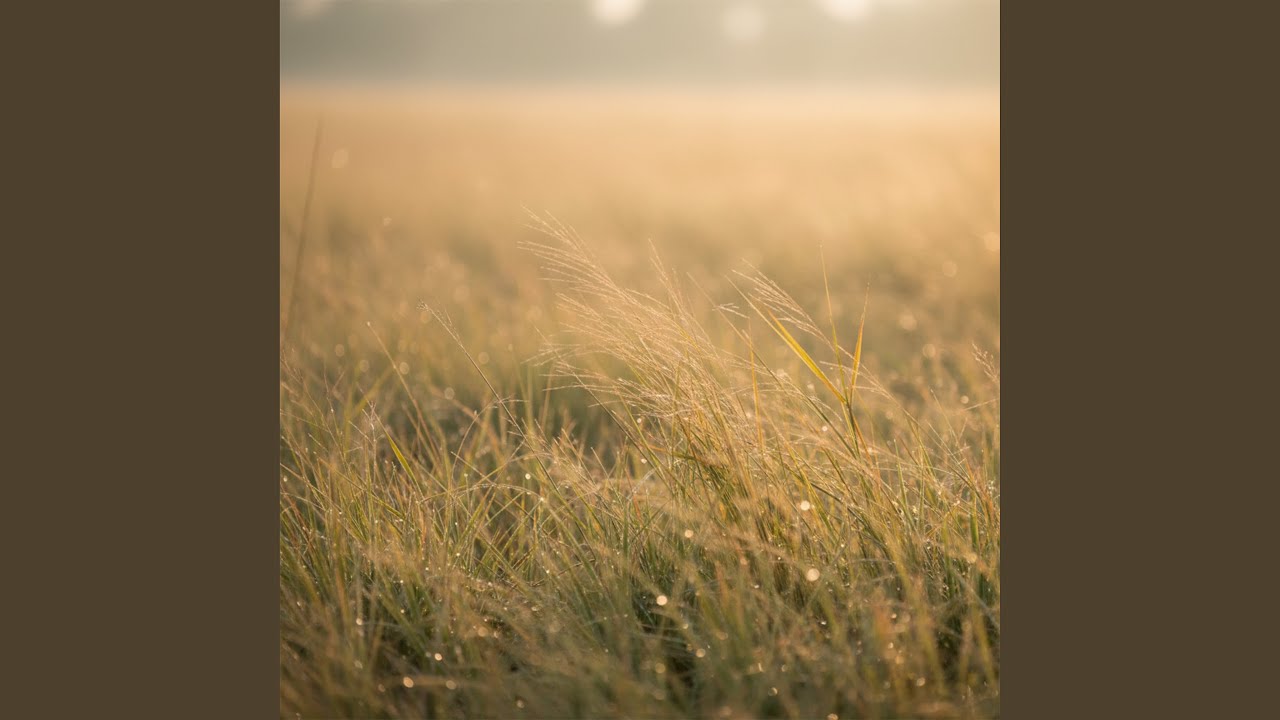 Breath of Light