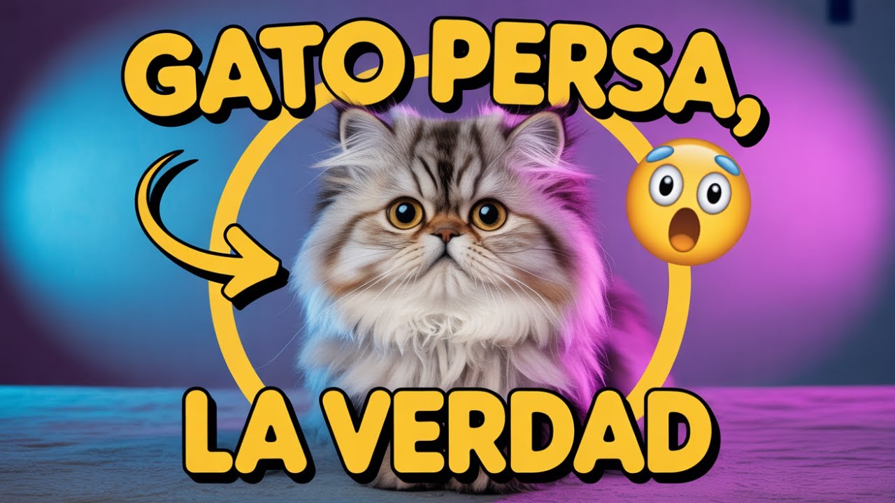 ERRORES QUE PUEDEN MATAR A TU GATO PERSA 😱 | Errores que cometes SIN darte cuenta