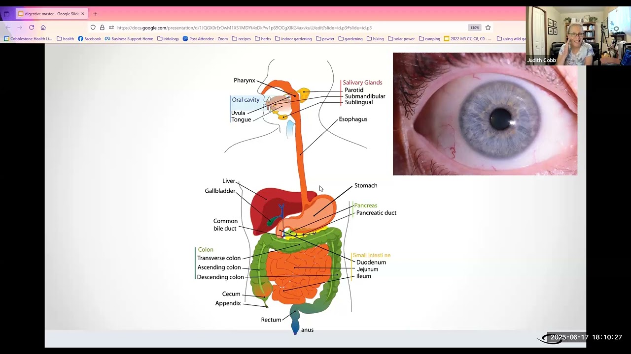 What Your Client's Eyes Teach You About Their Digestion