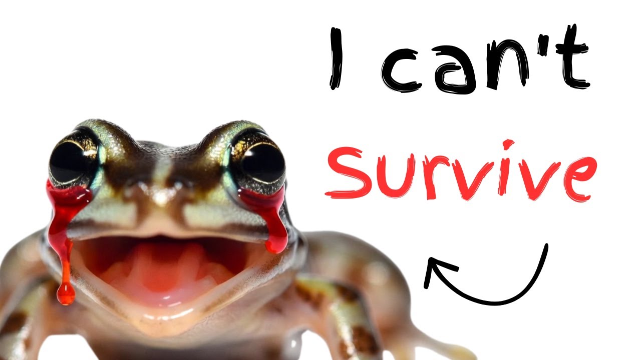 Why It Sucks to Be Born as a Baby Frog
