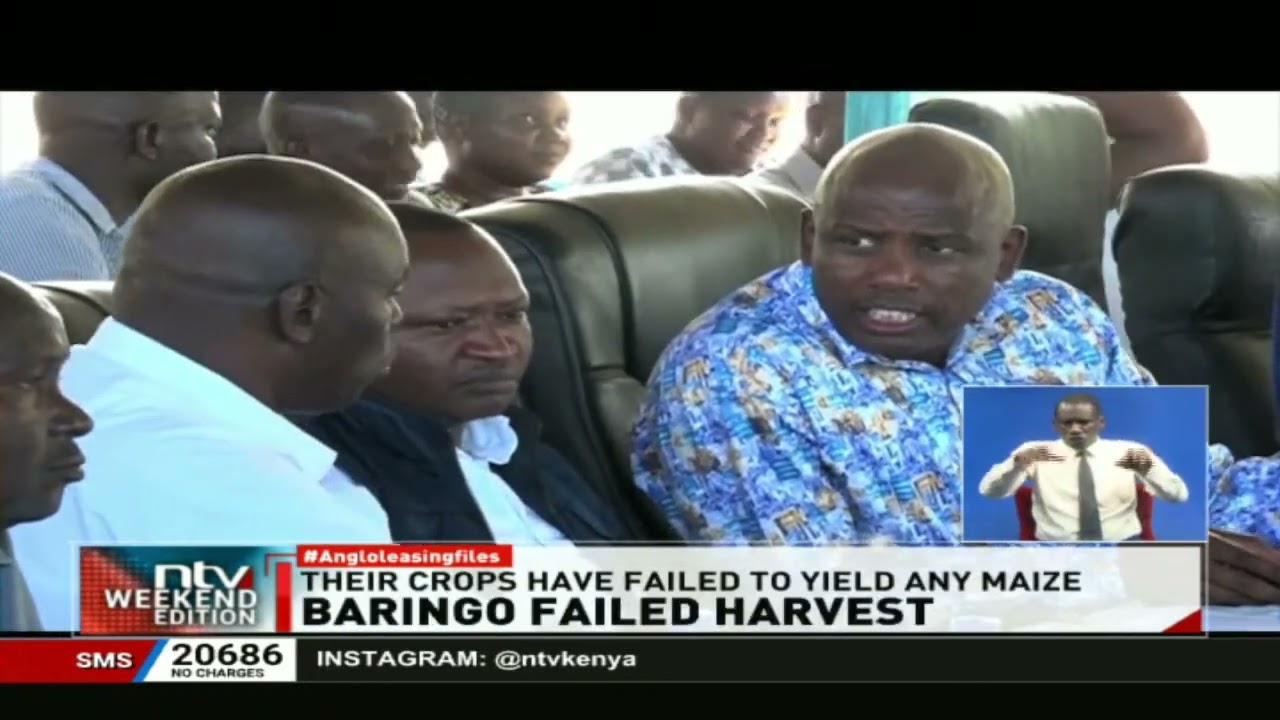 Maize farmers in Baringo staring at huge losses said to have been caused by failed pollination