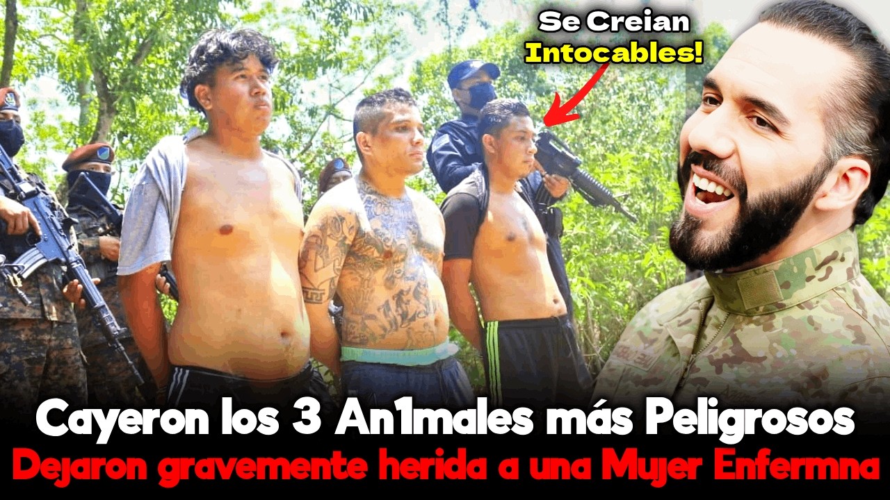 🛑 Cayeron los Pandilleros Más Peligrosos de Ilopango