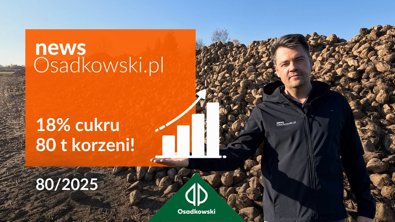 Wysoki cukier i plon buraka cukrowego - przegląd technologii 2025