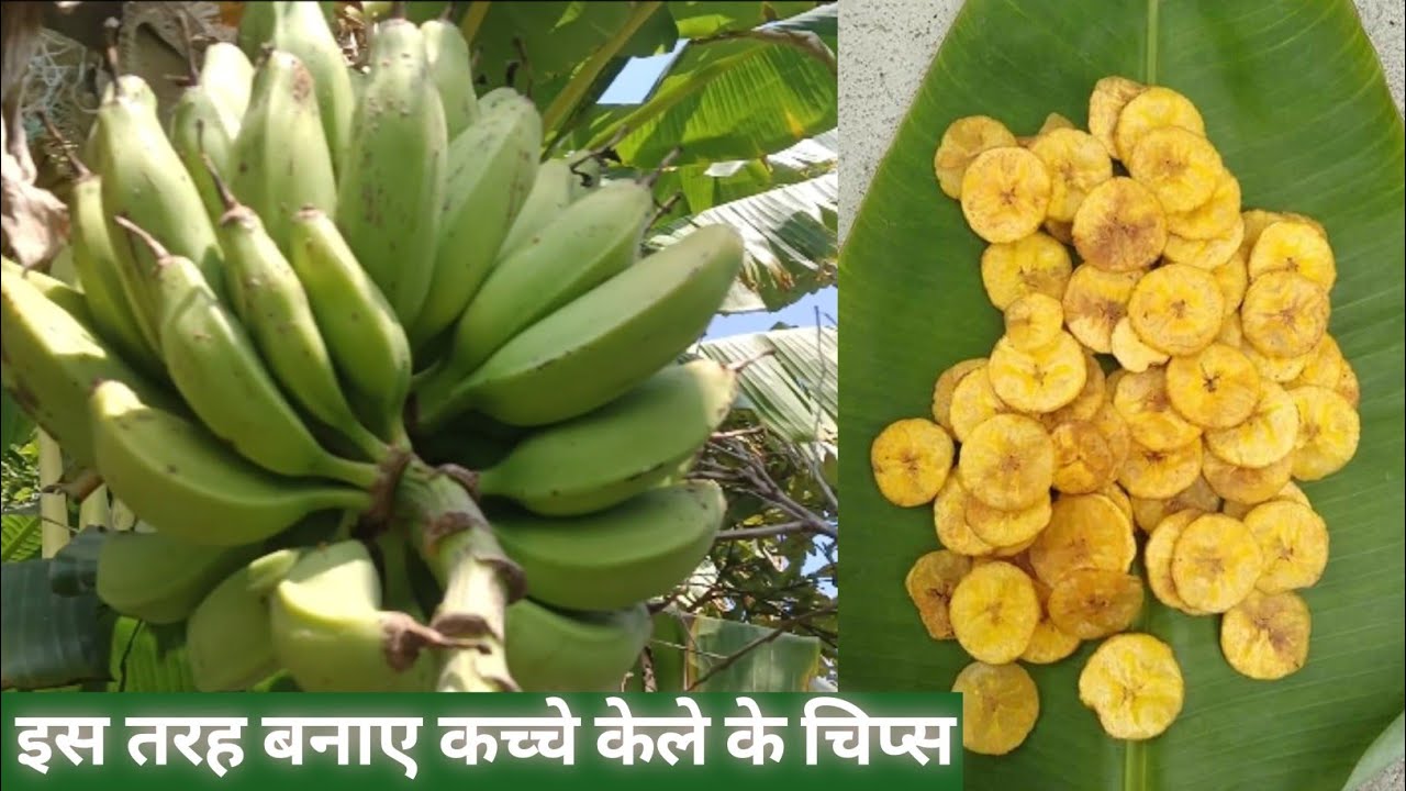 मार्केट जैसे कुरकुरे केले के चिप्स बनाने का सबसे आसान तरीका | how to make banana chips at home