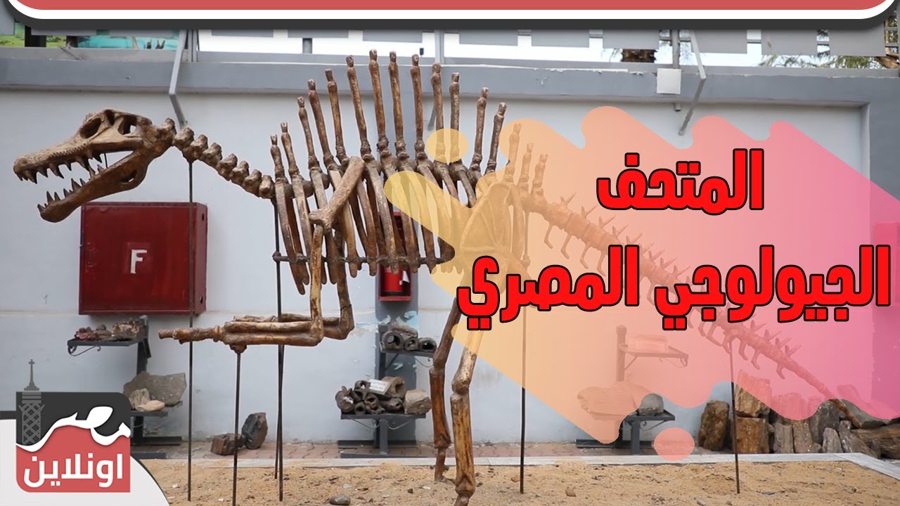 شوف حتة من القمر في المتحف الجيولوجي المصري